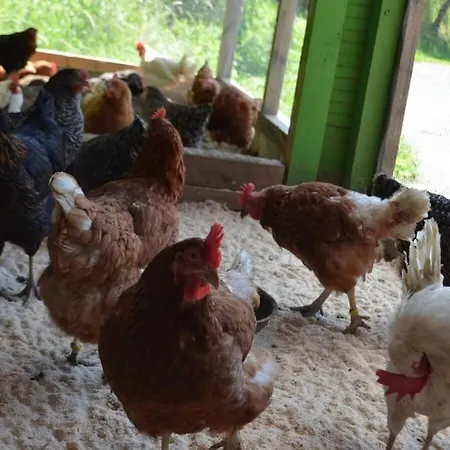 Ferienhaus One-bedroom