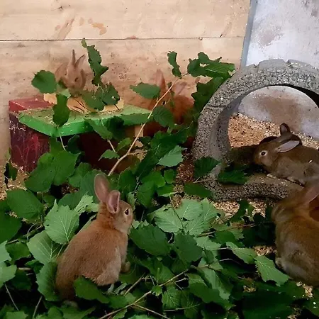 One-bedroom Ferienhaus