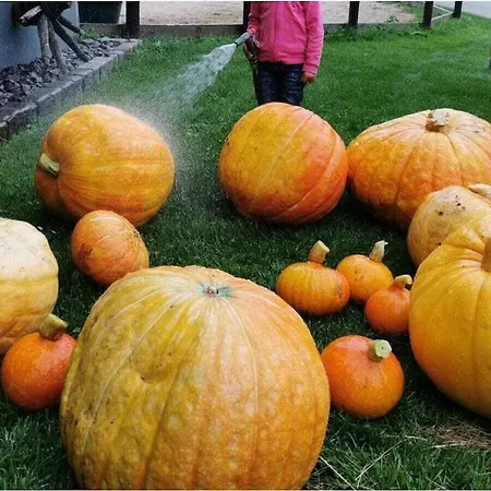 One-bedroom Дом отдыха