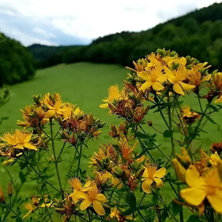 One-bedroom Ferienhaus *