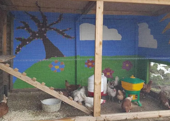 One-bedroom Дом отдыха *