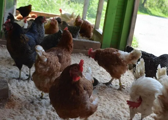 Дом отдыха One-bedroom