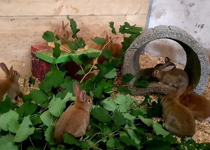 One-bedroom Дом отдыха