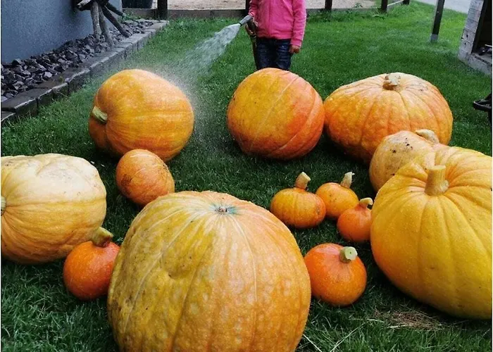 One-bedroom Дом отдыха