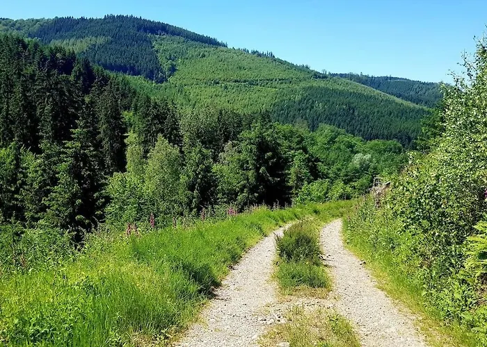 One-bedroom Дом отдыха *